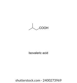 Isovaleric Acid Skeletal Structure Diagramhemiterpenoid Molecule Stock ...