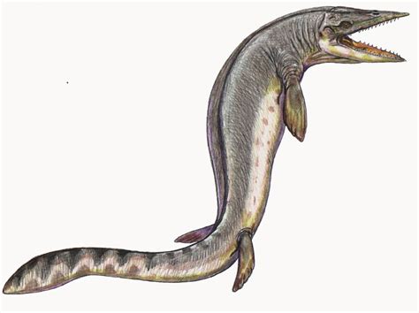 Список мозазавров | это... Что такое Список мозазавров?