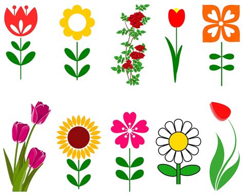 Flower Svg, Flowers Svg, Floral Svg, Flower Clipart, Rose Svg, Daisy ...