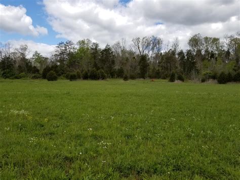 33 Acres In Fleming County Kentucky