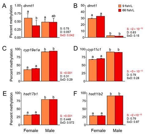 Ijms Free Full Text Exploring The Effects Of Rearing Densities On