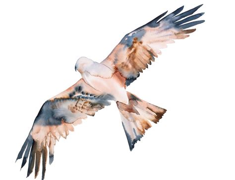 Flying Hawk by Elizabeth Becker | Buy Art Online | Rise Art