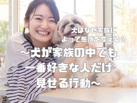 犬はなぜ家族によって態度を変える？家族の中でも一番好きな人だけ見せる行動！ Neo Blog