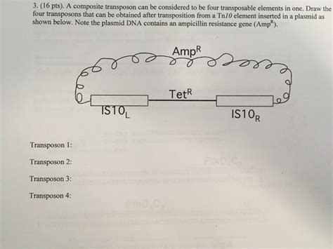Solved 3 16 Pts A Composite Transposon Can Be Conside Chegg