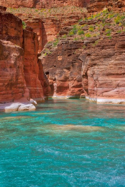 Havasu Creek Confluence Grand Canyon Colorado River Arizona Art