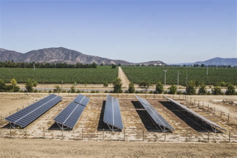 Concha y Toro logra abastecer su operación con energías renovables