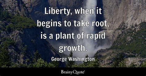 Liberty, when it begins to take root, is a plant of rapid growth ...