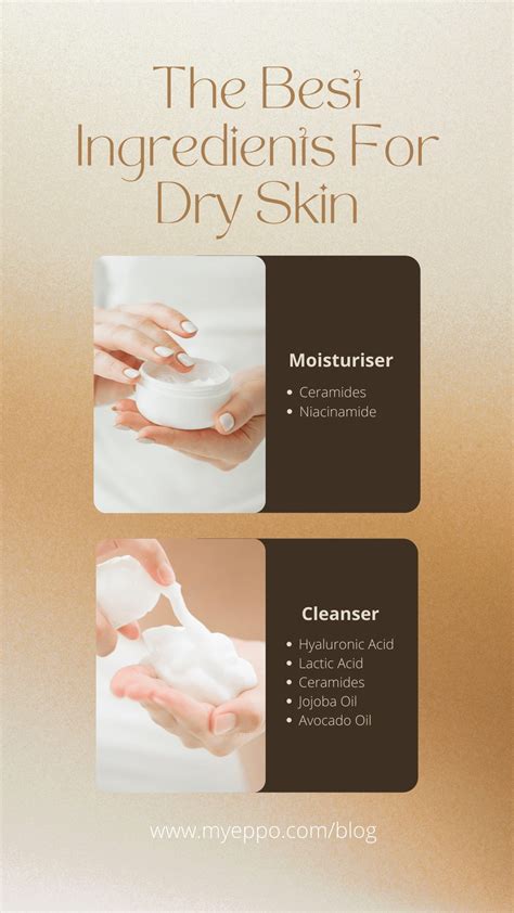 Dry Vs Dehydrated Skinwhat Are The Differences Myeppo