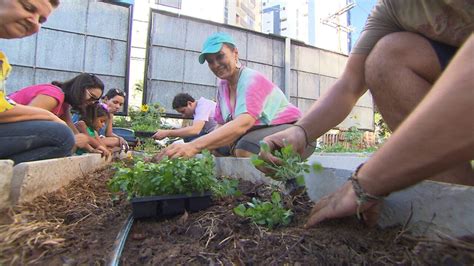 O Projeto Hortas Urbanas transforma terreno abandonado em solo fértil