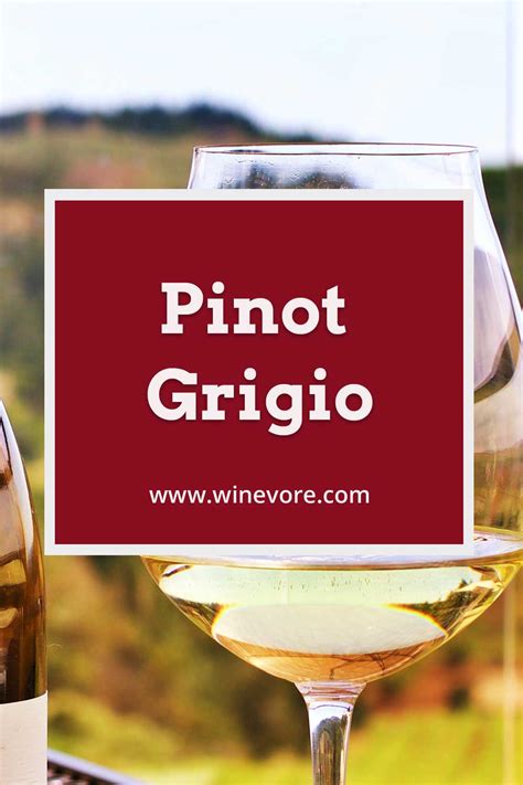 Pinot Grigio - Winevore