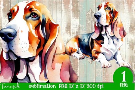 Watercolor Basset Hound Sublimation PNG Graphic By TanuschArts