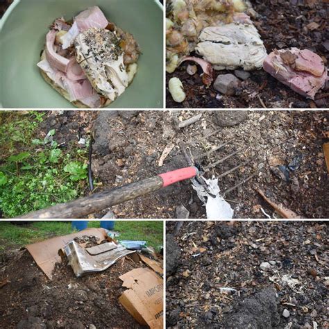 How to Compost Meat Scraps Step by Step
