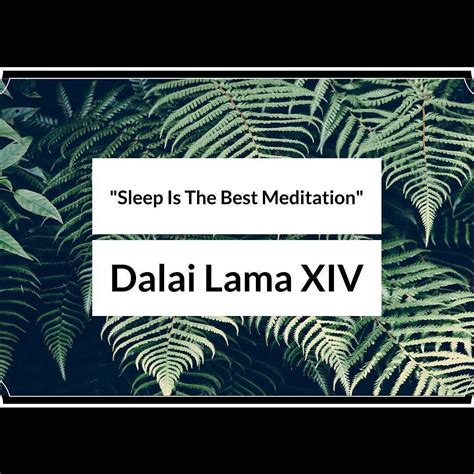 We're not one to argue with the Dalai Lama. | Best meditation, Yoga ...