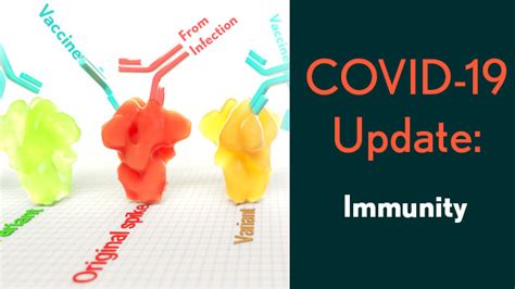 How Immunity Generated From Covid 19 Vaccines Differs From An Infection