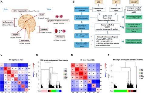 Frontiers Integrated Co Expression Network Analysis Uncovers Novel