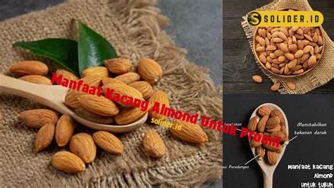 Temukan Rahasia Kacang Almond Untuk Program Hamil Yang Jarang Diketahui