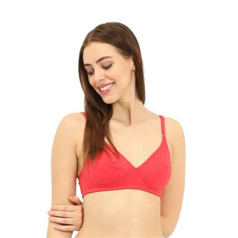 Buy Envie Womens Cut Seam Bra Non Padded Wirefree Bra Inner Wear For