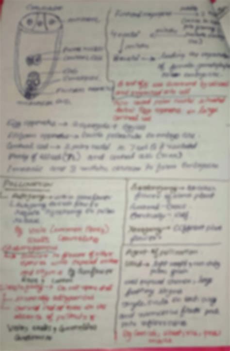 Solution Sexual Reproduction In Flowering Plants Studypool