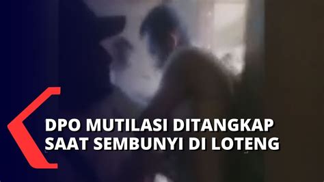 Dramatis Polisi Berhasil Tangkap Dpo Mutilasi Mimika Saat Sembunyi Di