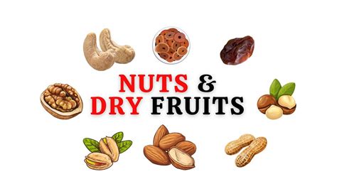 Dry Fruits Vocabulary Ldry Fruits Names In English With Pictures Nuts