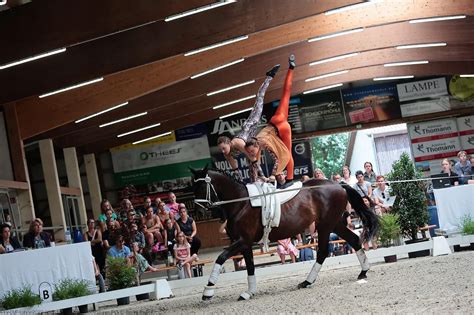 Fünfter Platz beim Deutschen Voltigierpokal in Lohne