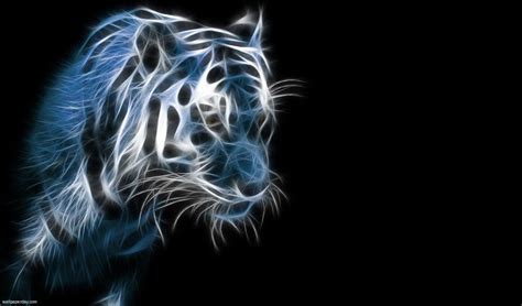 Blue Tiger Wallpapers Wallpaper Cave