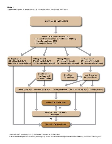 Diagnosis - Wilson Disease Association