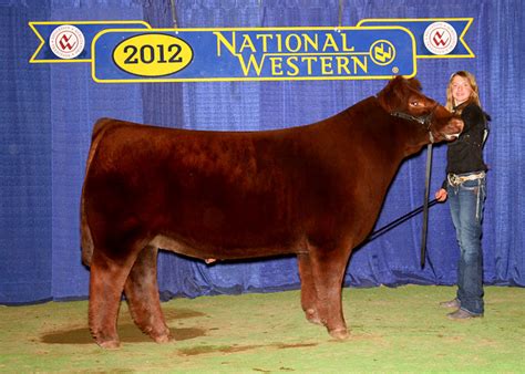 Lautner Farms Updated Pictures 1st And 2nd Place Class Winners Nwss