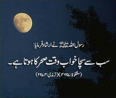 Pin By Soomal Mari On Urdu Muhammad Quotes Quran Quotes Verses