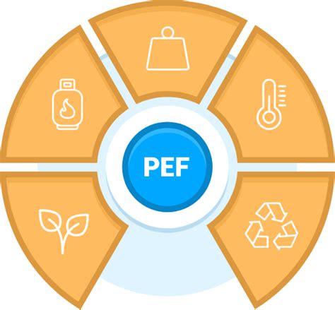 pulsed electric field  easy  understand
