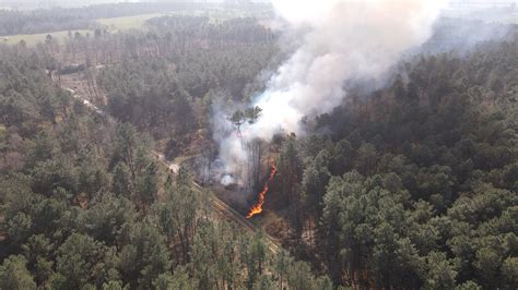 Bretagne Plusieurs Feux De Forêts Ont été Maîtrisés Dans Le Morbihan