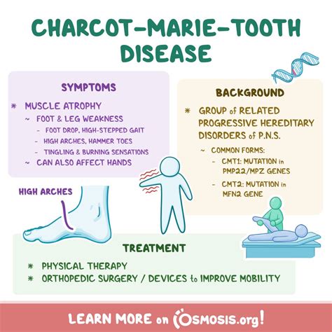 Peripheral Nervous System Disorders Peripheral Neuropathy Radiculopathy Charcot Marie Tooth