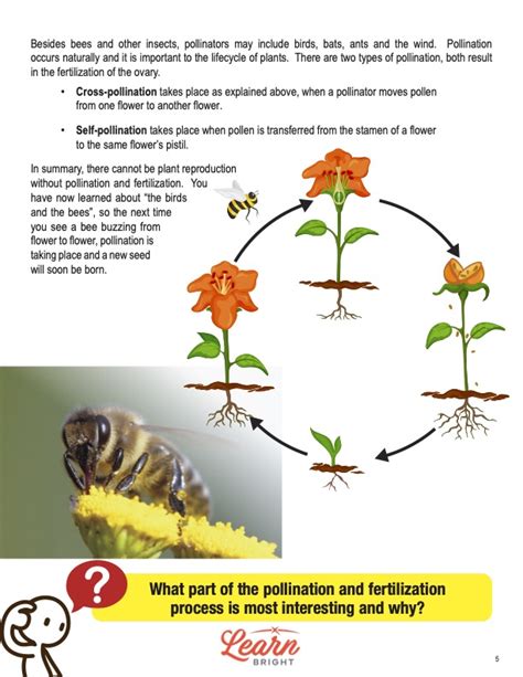 Flowers and Fertilization, Free PDF Download - Learn Bright