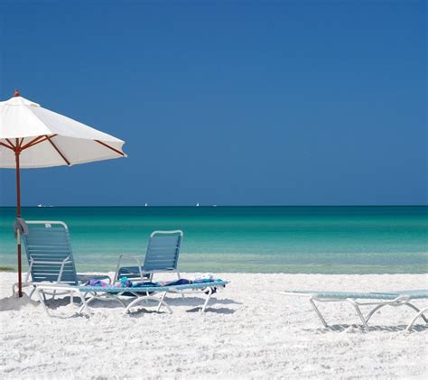 sarasota-beach | AllSpine