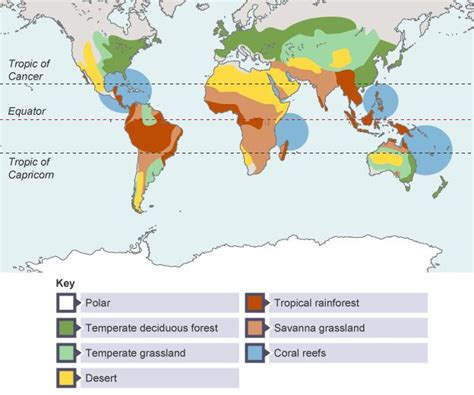 The Global Distributions Of Ecosystems Ecosystems OCR GCSE