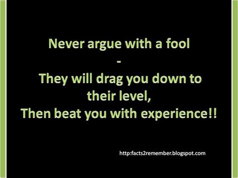 Never Argue With A Fool Wise Quotes For Life