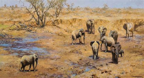 Davidshepherd Signed Limited Edition Print Africanwaterhole