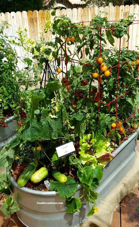 Gardening Tips For Beginners: Vegetable Container Gardening