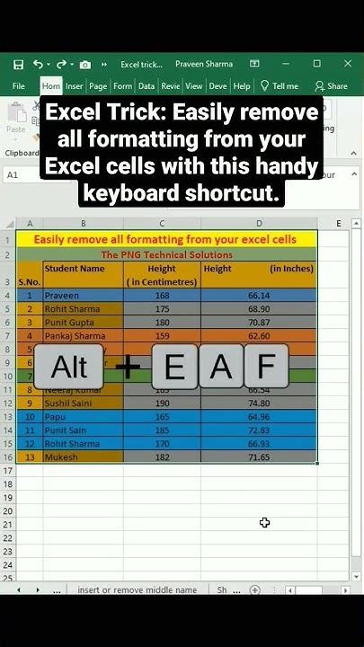 Excel Trick Easily Remove All Formatting From Your Excel Cells With This Handy Keyboard