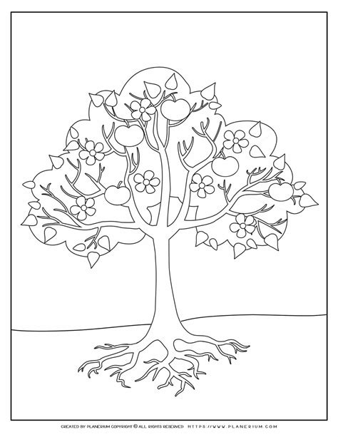 Apple Tree Coloring Page Coloring Pages