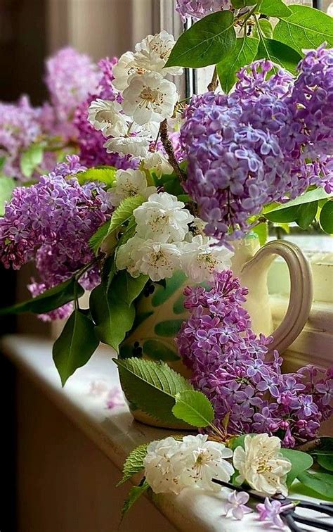 Pin by Elena Troianskaia on ЦВЕТЫ in 2024 Container flowers Lilac