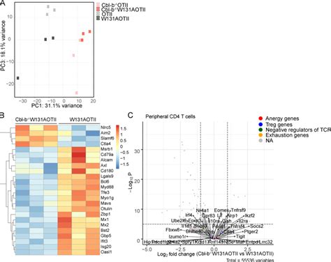 Loss Of Cbl B In W Aotii Mice Altered Gene Expression Profile A