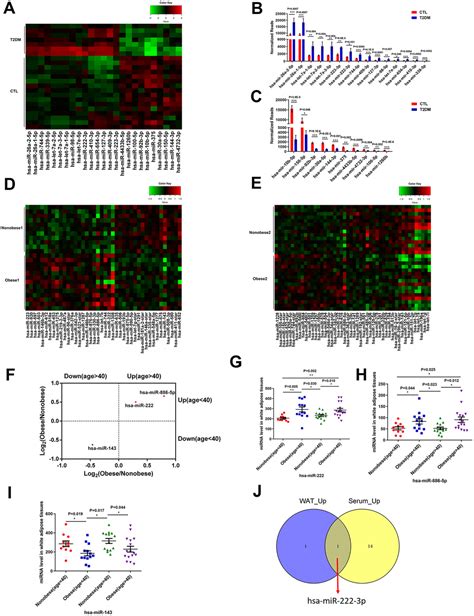 Gonadal White Adipose Tissue Derived Exosomal MiR 222 Promotes Obesity