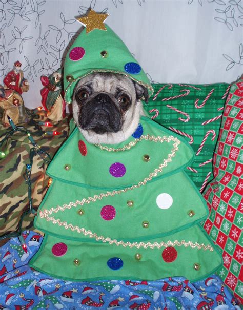 Pug Xmas Tree Simon The Pug Pugs Pug Life Xmas Tree