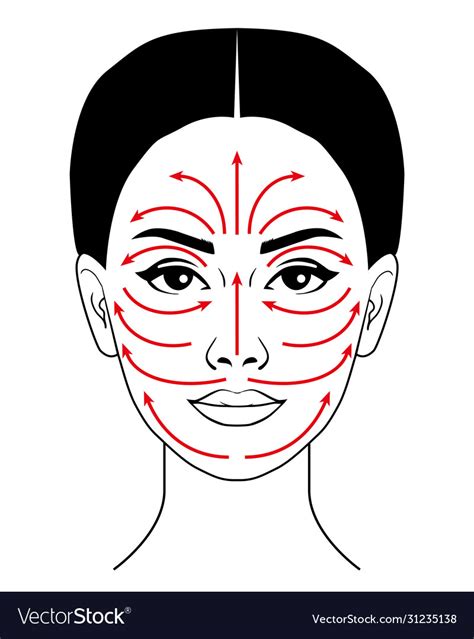 Facial Massage Line Royalty Free Vector Image Vectorstock