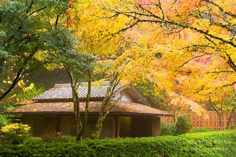 Japanese Tea House during Fall with fog in the Portland Japanese Garden ...