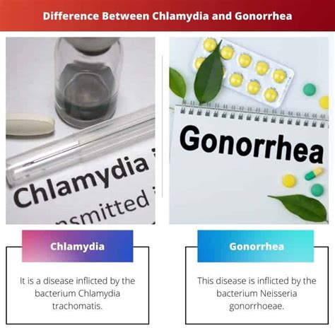 Chlamydia Vs Gonorrhea Difference And Comparison