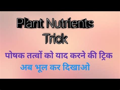 Plant Nutrients Trick Plant Nutrients Yaad Karne Ki Trick