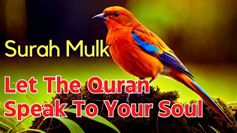 💕 The Beauty And Benefits Of Reciting Surah Al Mulk With A Beautiful