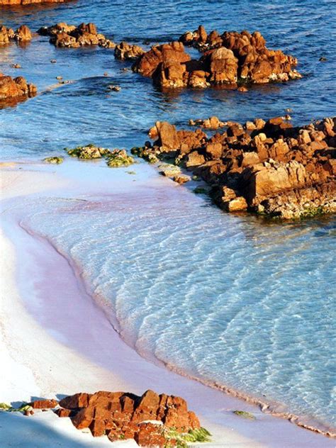 73 best images about Pink Beach, Sardinia, Italy on Pinterest